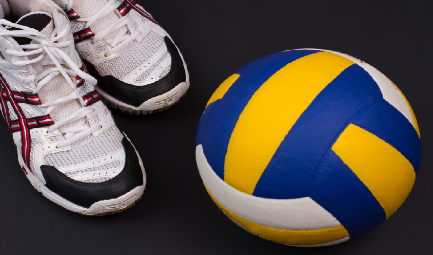 Features to look for in some of the perfect pro volleyball shoes