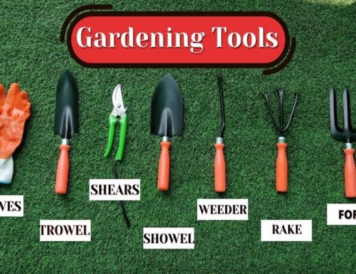 Basic Gardening Tools