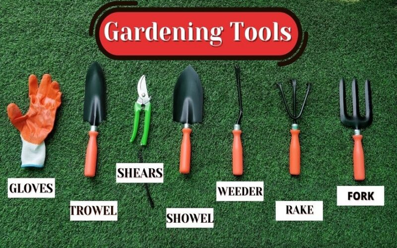 Basic Gardening Tools