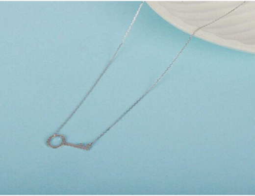 Charm Silver Necklace
