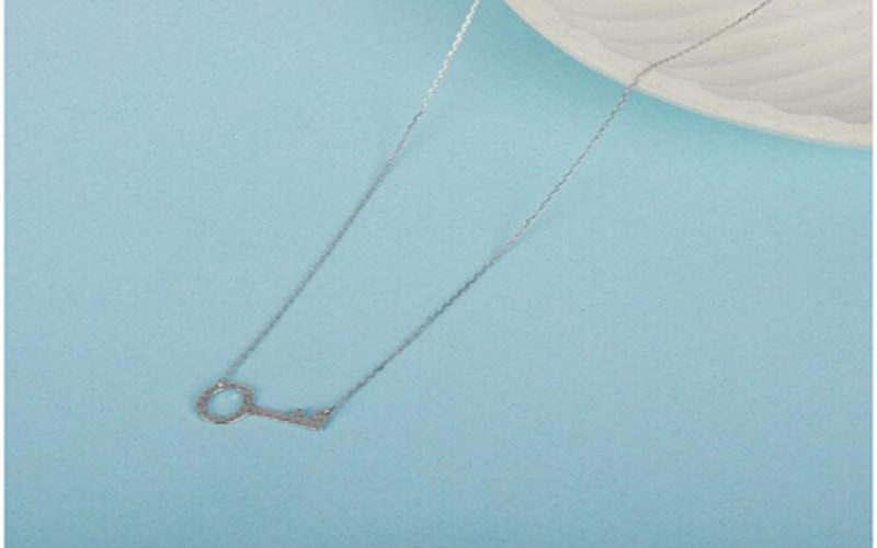 Charm Silver Necklace