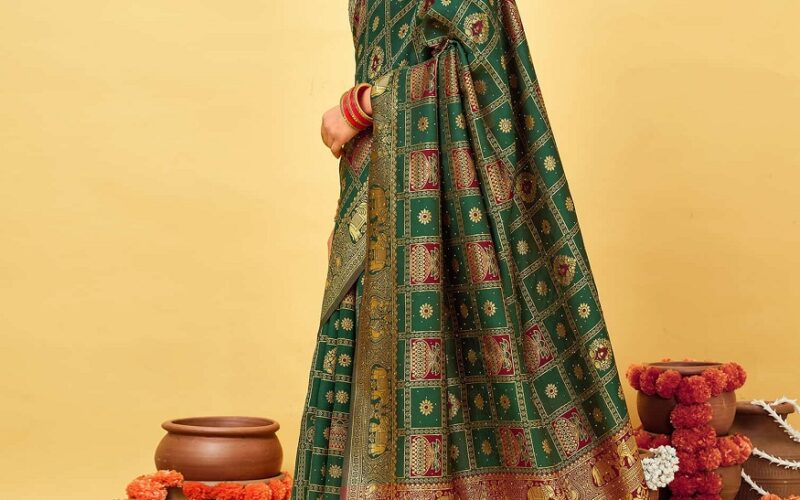 cotton Patola sarees